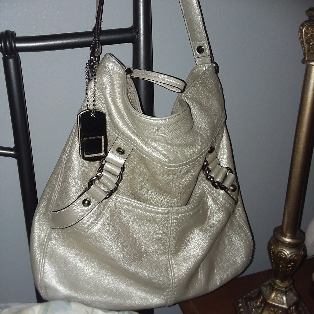 💕Sale [Tignanello] platinum metallic  leather bag